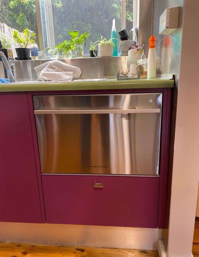 New Fisher & Paykel dishwasher installed at a client's home in Unley